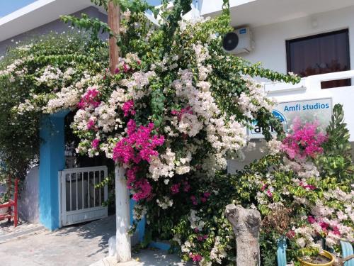 Kardamena Apartment | Amfi Apartments