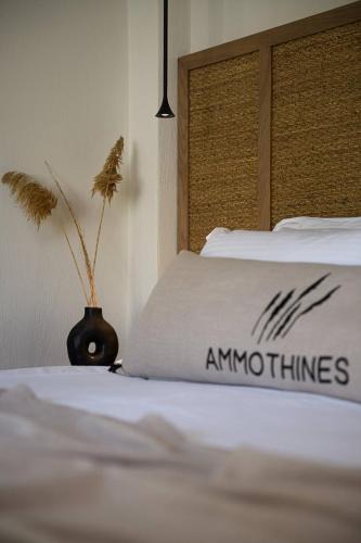 Golden Beach Hotel | Ammothines Beach Suites