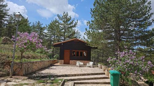 Martin del Rio Other | Camping Las Cabañas