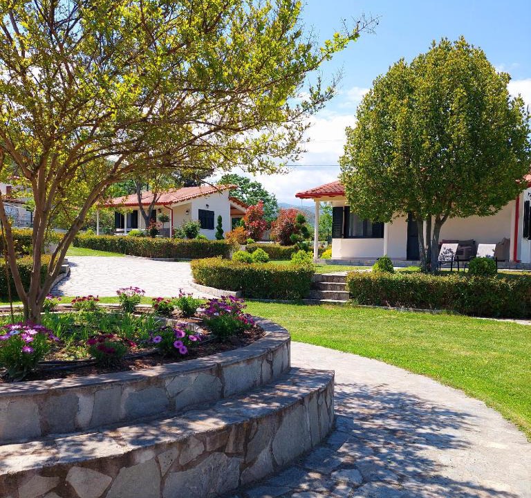 Olympiada House | Casa Alegria