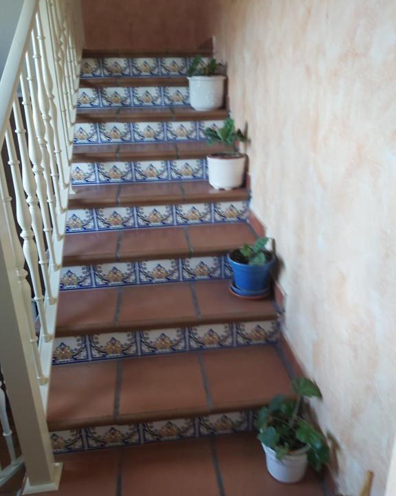 Hinojedo Apartment | Casa laurel 1