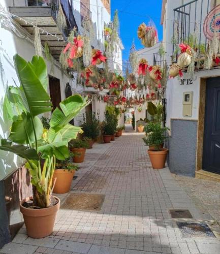 Quesada Apartment | Casa rural Sierra de Quesada