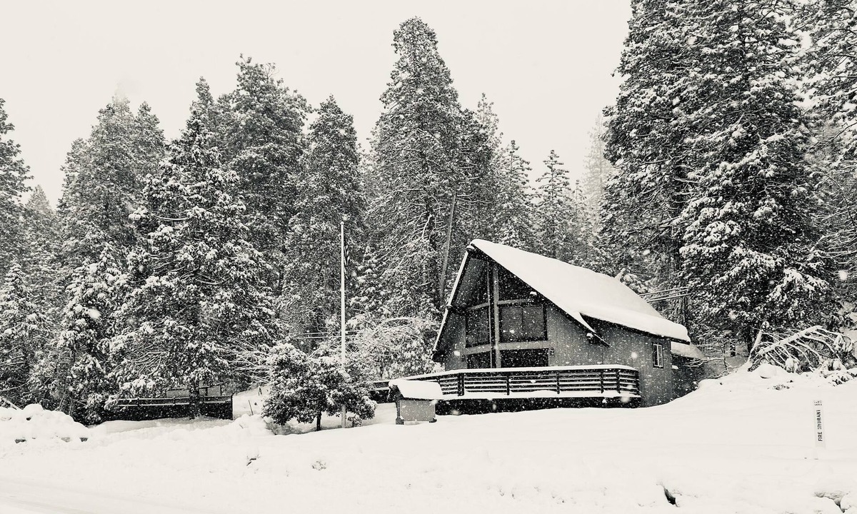 Forest Meadows Cabin | Cozy 4bd, 2bth cabin in Murphys, on 2 acres close to vineyards & Bear Valley!