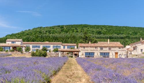 Lagarde-d'Apt Bed & Breakfast | Domaine Château du Bois Provence