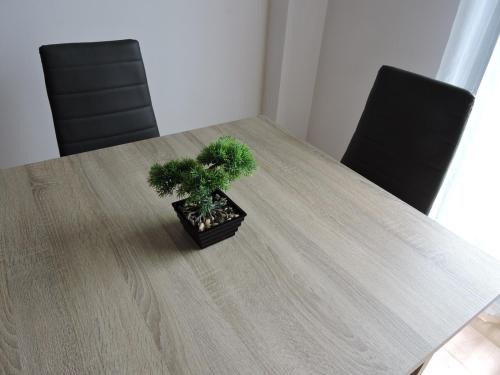 Calatayud Apartment | Duplex casco historico