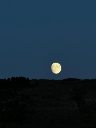 Tamaron Other | Eclipse 2026