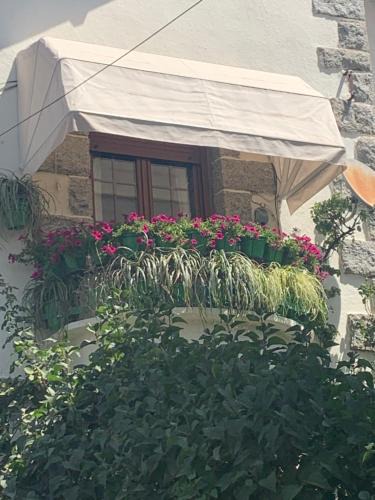 Cercedilla Apartment | El balcón de Araceli