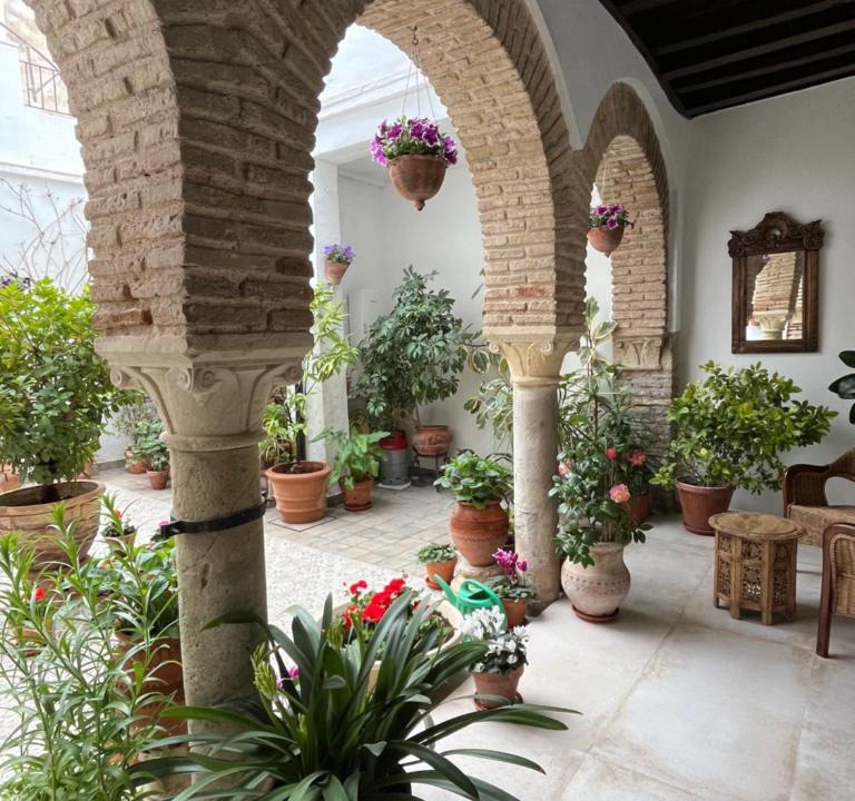 San Pedro Apartment | El patio de Regina