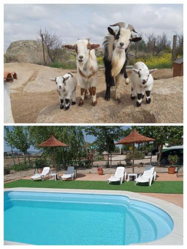 Sonseca House | Finca - Granja " El Chaparral"