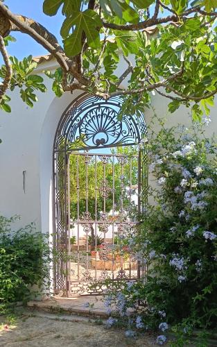 Montilla Villa | Finca Olivo Llorón