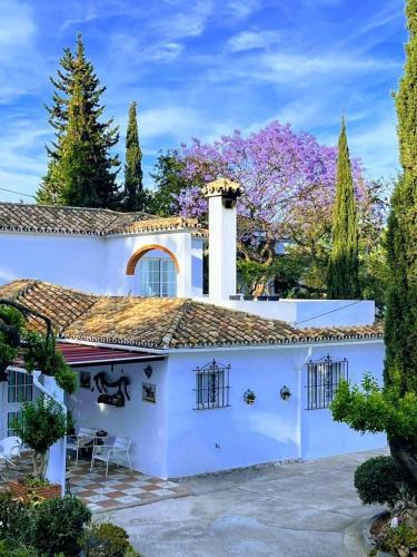 Benalmadena Villa | Finca Villordo Villa Tranquila