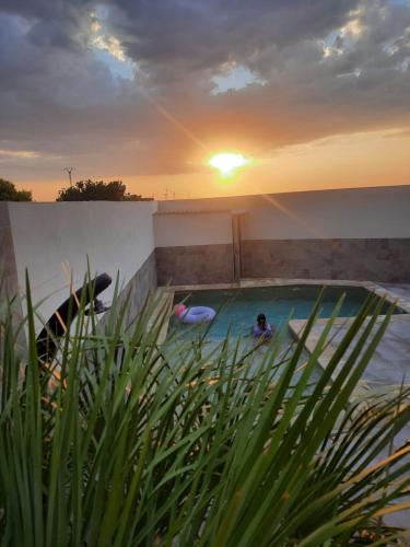 Cobisa House | Flor de la Jara