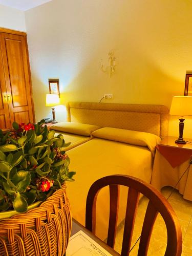 Trujillo House | Hostal León