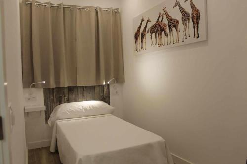 Fuencarral House | Hostal royal begoña