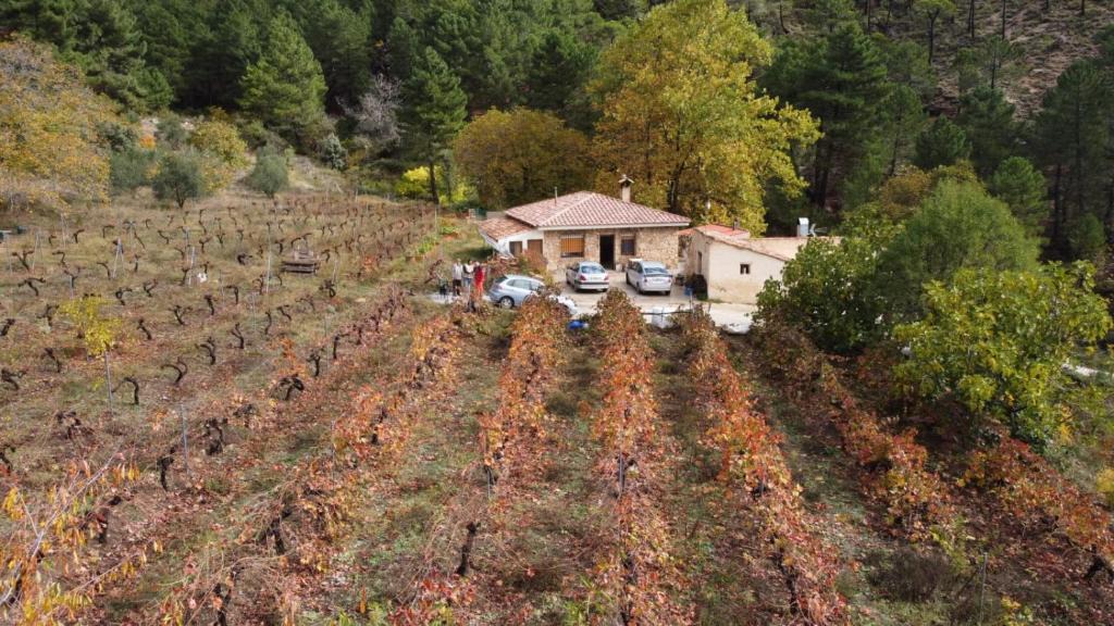 Riopar House | La Limonera