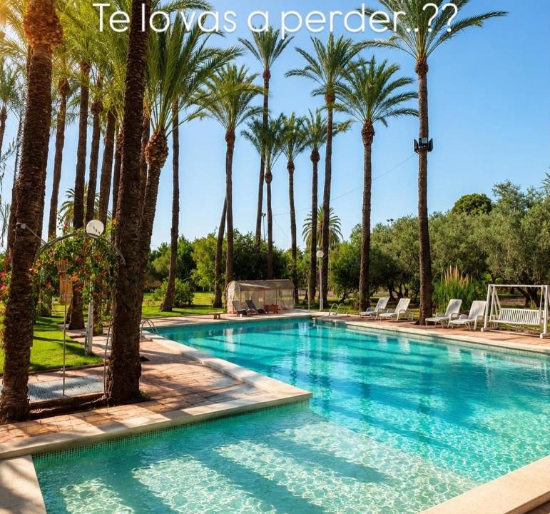 Elche Bed & Breakfast | Pink Lemon House