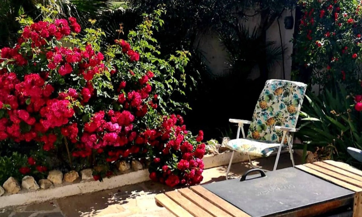 Cullar House | Room-peaceful Private Garden Studio for
