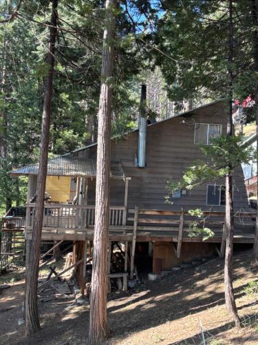 Posey House | Sequoia National Forest CabinK