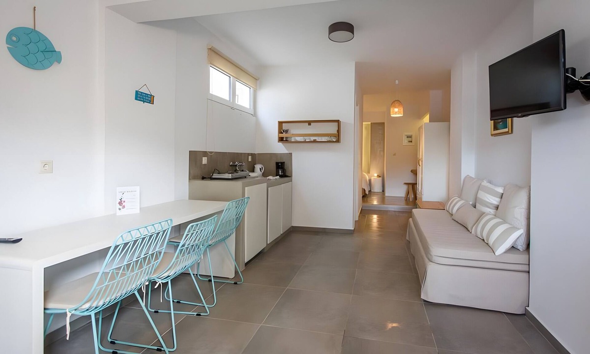 Gavrio Apartment | Studio Apartment 'Semi Basement -Superior Apartment' with Mountain View and Air Conditioning