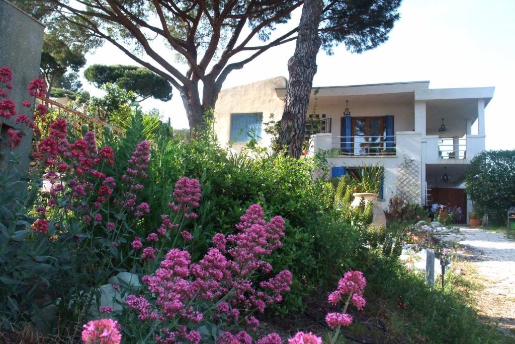 La Croix-Valmer Apartment | Studios "Villa Coeur sur Mer"
