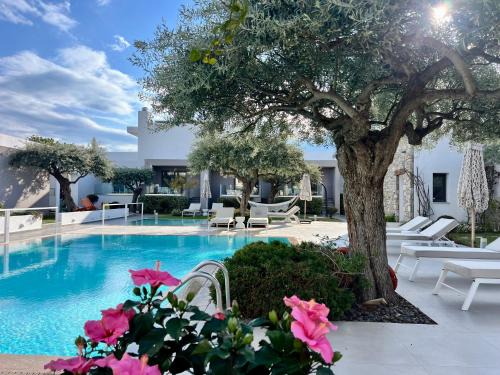 Potos House | Thassos OLIVIA RESORT