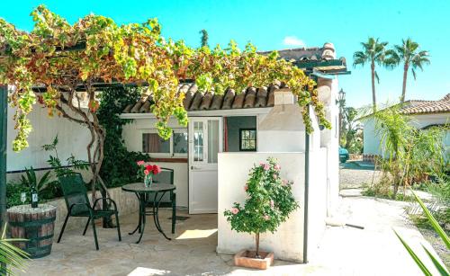 Alozaina House | Tiny house 12m2 "ANTON PIECK" in holiday park with 55 m2 pool