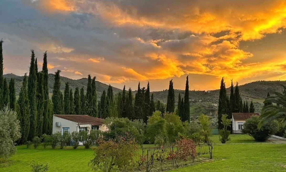 Olvera Apartment | Vacation Rental/Apartment for 3 Guests, 45 m², in Olvera (267435)