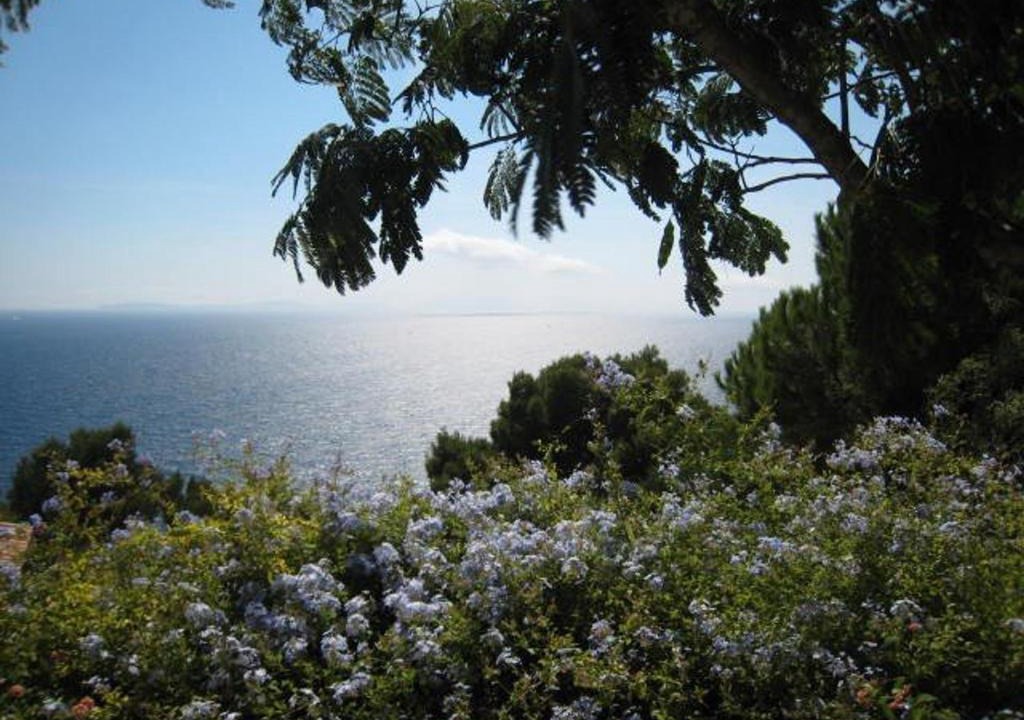 Cavaliere Villa | Villa Cavalaire-sur-Mer, 2 pièces, 4 personnes - FR-1-100-202
