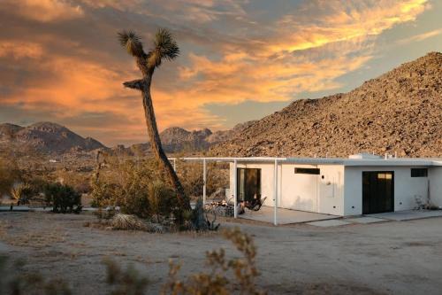 Joshua Tree Highlands House | Zebra Shadow By The Cohost Company