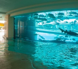 Wyndham Grand Desert Las Vegas 