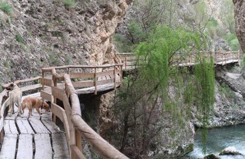 Castril House | Alojamiento Rural Villa Baja - Castril