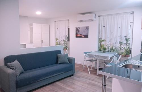 Arguedas Apartment | Apartamentos El Balconico