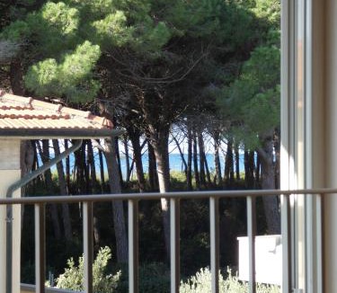 Mazzanta Apartment | Appartamenti Manuela