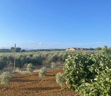 Castagneto Carducci Apartment | Appartamento Villa Caprareccia