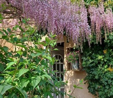 Peyrolles-en-Provence House | Bastide Cedrea