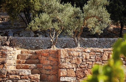 Carces Villa | Bastide Saint-Louis du Thoronet 4*, Bastide Saint-Louis du Thoronet 4*