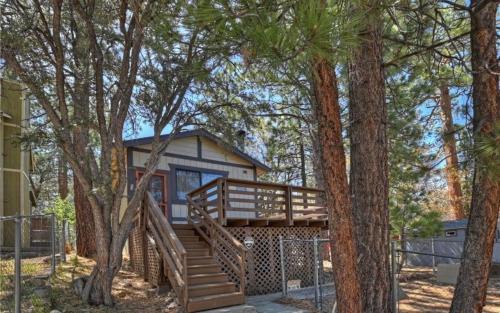 Sugarloaf House | Bear Forest Cabin, Large Yard, Pet-Friendly!