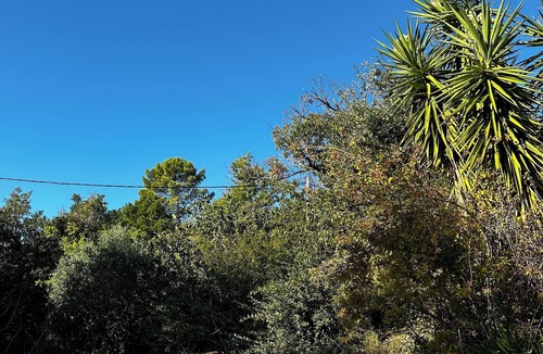 La Garde-Freinet Villa | Beautiful private villa in an enchanting green landscape
