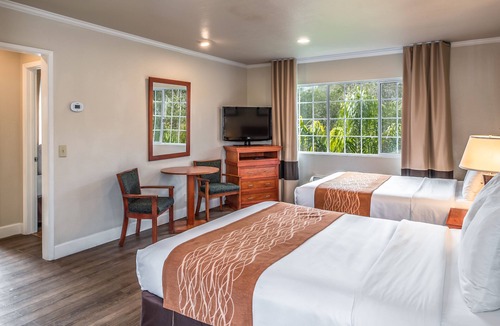 North Fremont Street Hotel | Blu Pacific Hotel