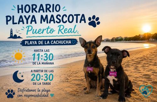 Puerto Real Apartment | Cadizz Luz de la Bahía Family Stay Concepción WiFi AC