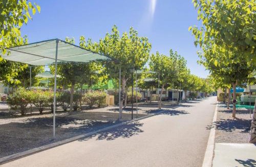 El Grau de Moncofa Other | Camping y Bungalows Monmar