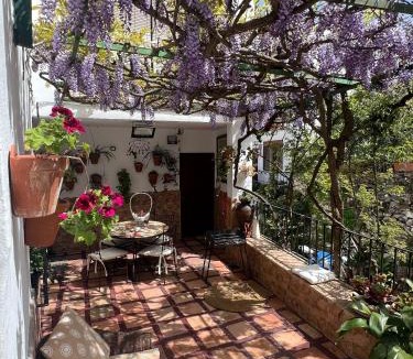 Benalauria House | Casa Almenta - Tu hogar para desconectar en el pueblo más bonito de Málaga