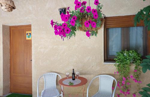 Almeida House | Casa Atenea