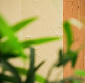 Merida Old Town House | Casa Lombarda