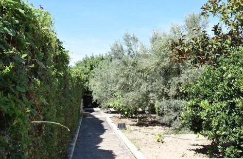 Castellnovo House | Casa Rural " La Bruja "