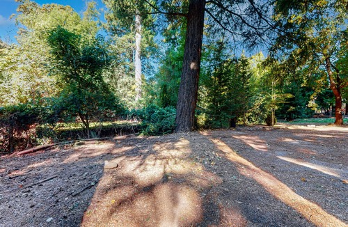 Cobb Apartment | Charming cabin with King Bed, WIFI situated along the natural spring.
