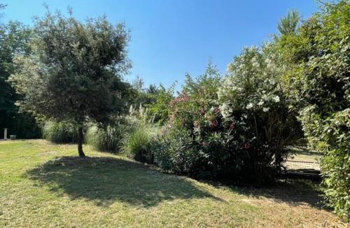 Lambesc Villa | Charming house with terrace and wooded garden
