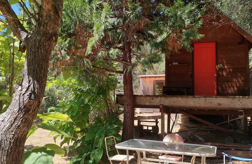 Nevada City Cabin | Charming tinyhome near the wild and scenic Yuba river!