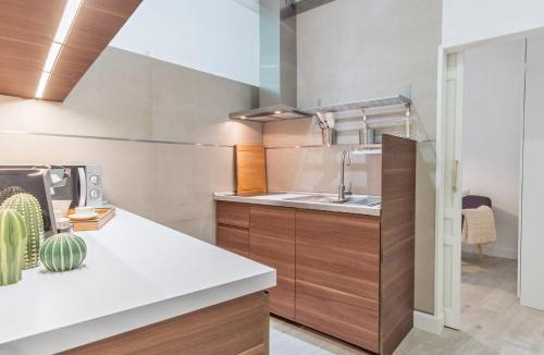 Recoletos Apartment | Claudio Coello I