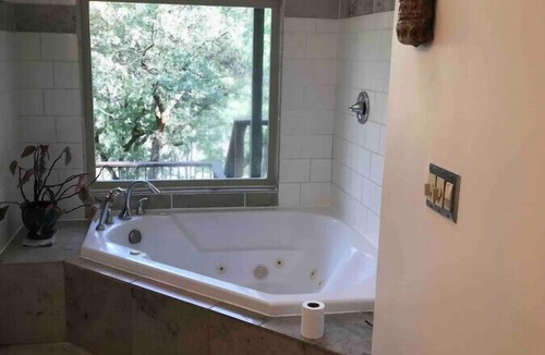 Chico Cabin | Cozy Centerville Cabin Jacuzzi Bathtub | Firepit | Secluded Nature